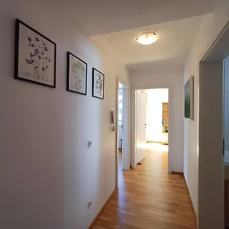 Pine Zell Am - Steinbock Apartman